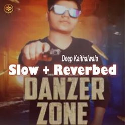 Danzer Zone (Slow And Reverbed)